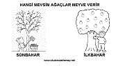 okul öncesi çocuklar için mevsimler